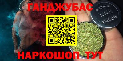гашик Бердск
