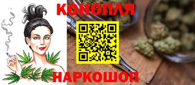 гашик Бердск