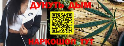 гашик Бердск