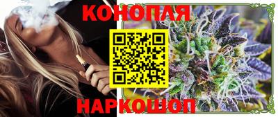 гашик Бердск