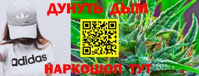 гашик Бердск
