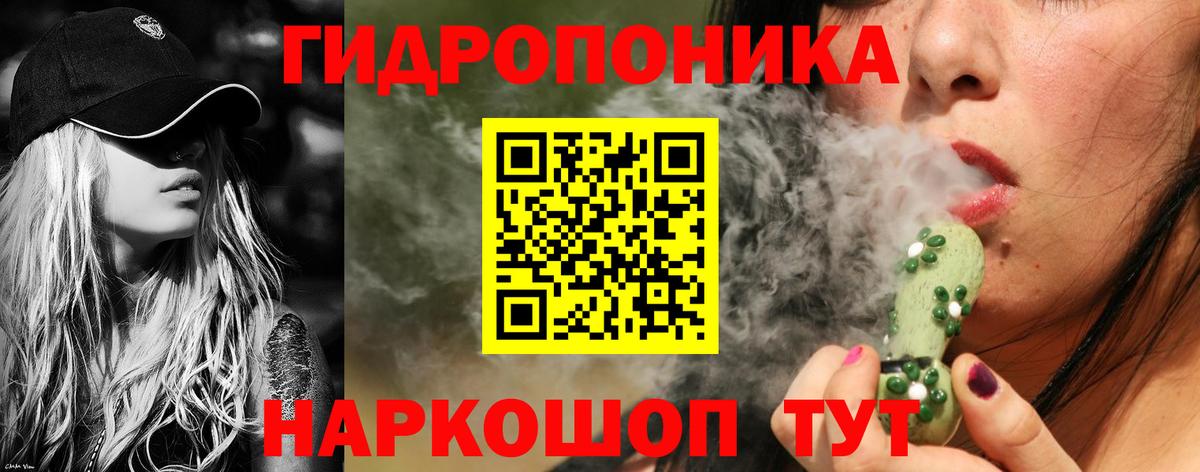 Бошки Шишки план  Конопля OG Kush  Бошки Шишки Ganja  Каннабис Bruce Banner  Вход с VPN  Бузулук 
